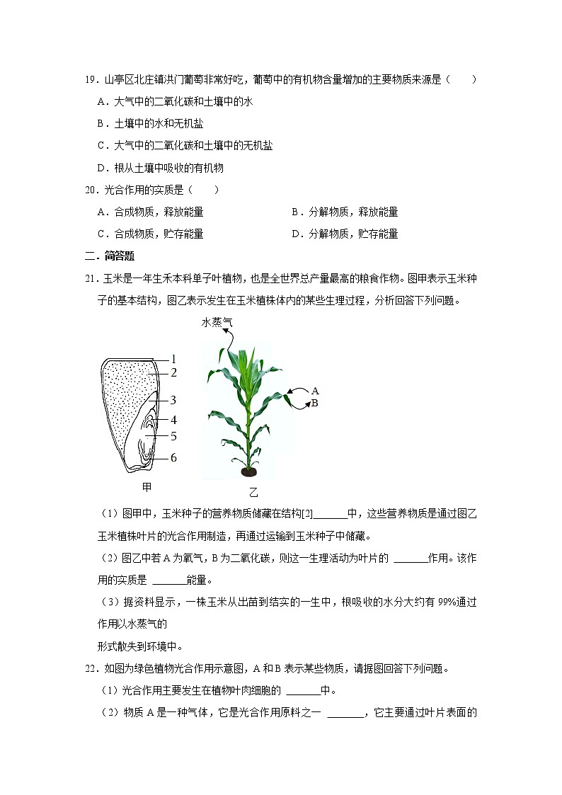 第四章绿色植物是生物圈中有机物的制造者测试题2021--2022学年鲁科版生物六年级下册03