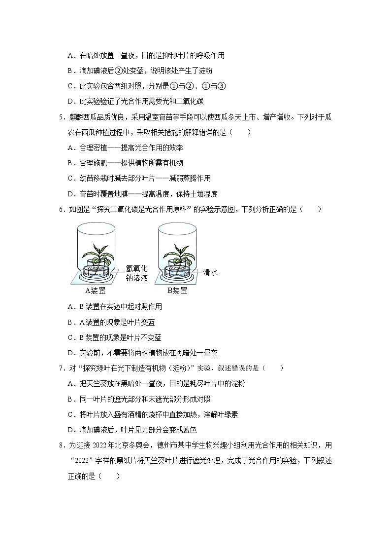 光合作用吸收二氧化碳释放氧气  同步测试第2页