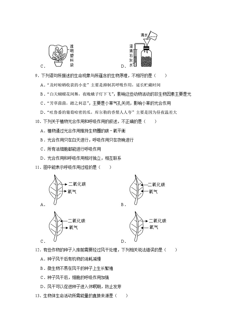 呼吸作用消耗氧气释放二氧化碳  同步练习03