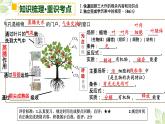 2022年生物中考绿色植物三大生理作用专题复习