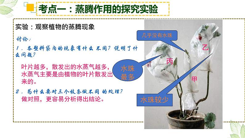 2022年生物中考绿色植物三大生理作用专题复习06