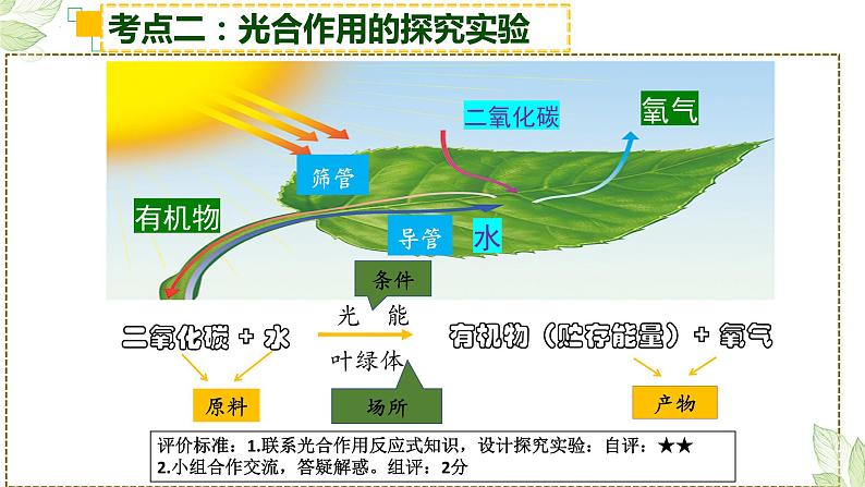 2022年生物中考绿色植物三大生理作用专题复习08