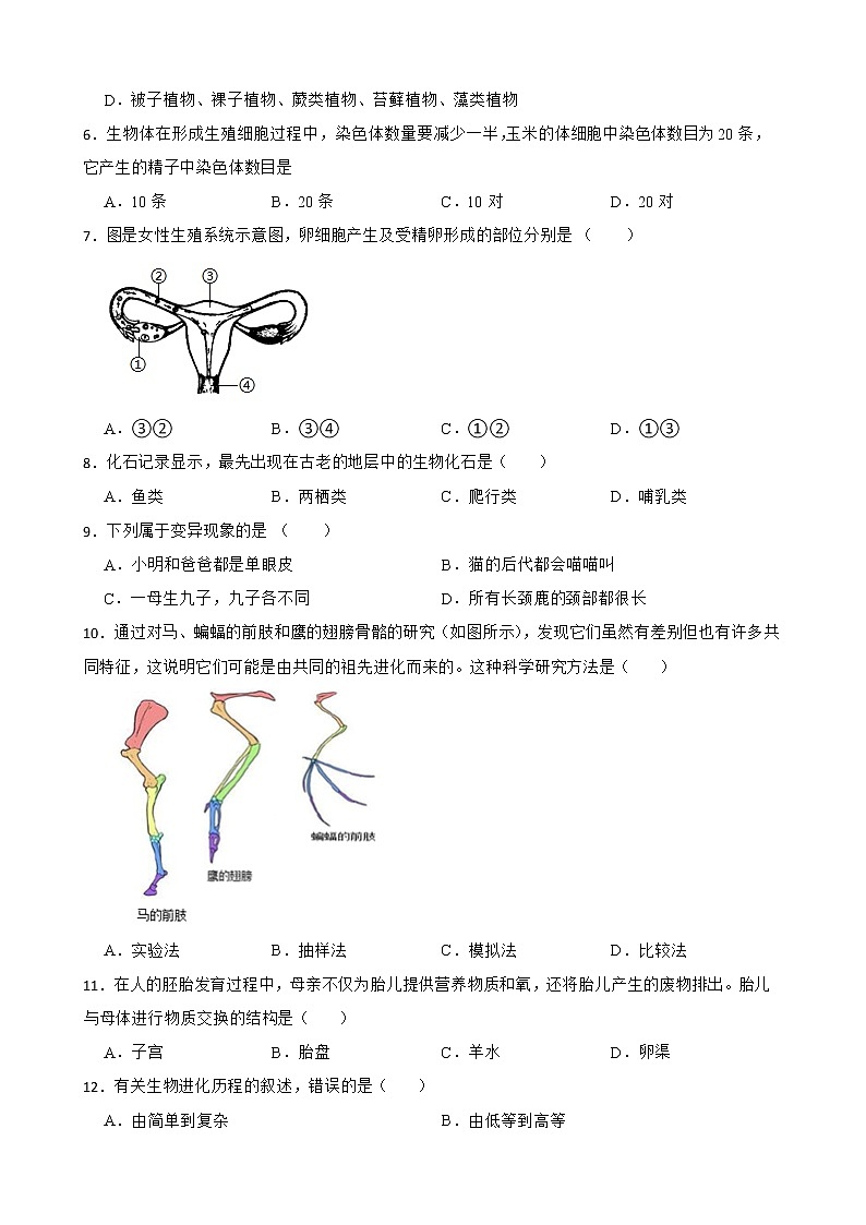 吉林省中考生物三年真题模拟题汇编 生物圈中的生命的延续和发展解析版02