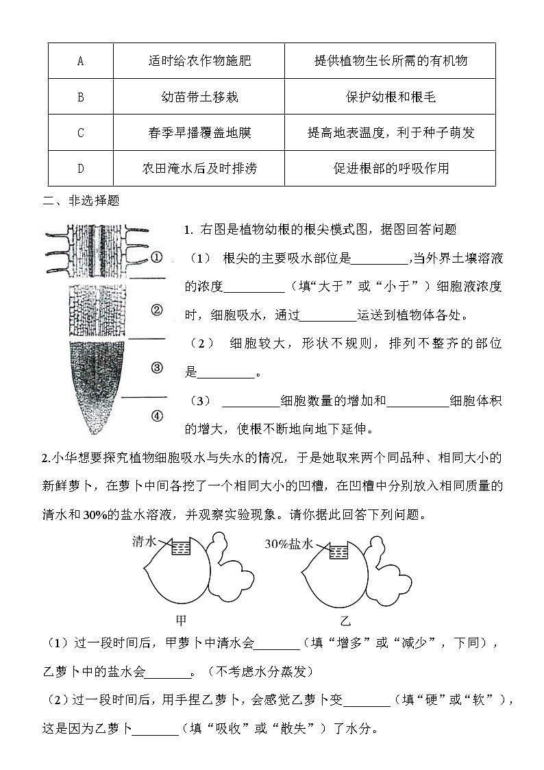 5.3《吸收作用》课件PPT+教案+同步练习02