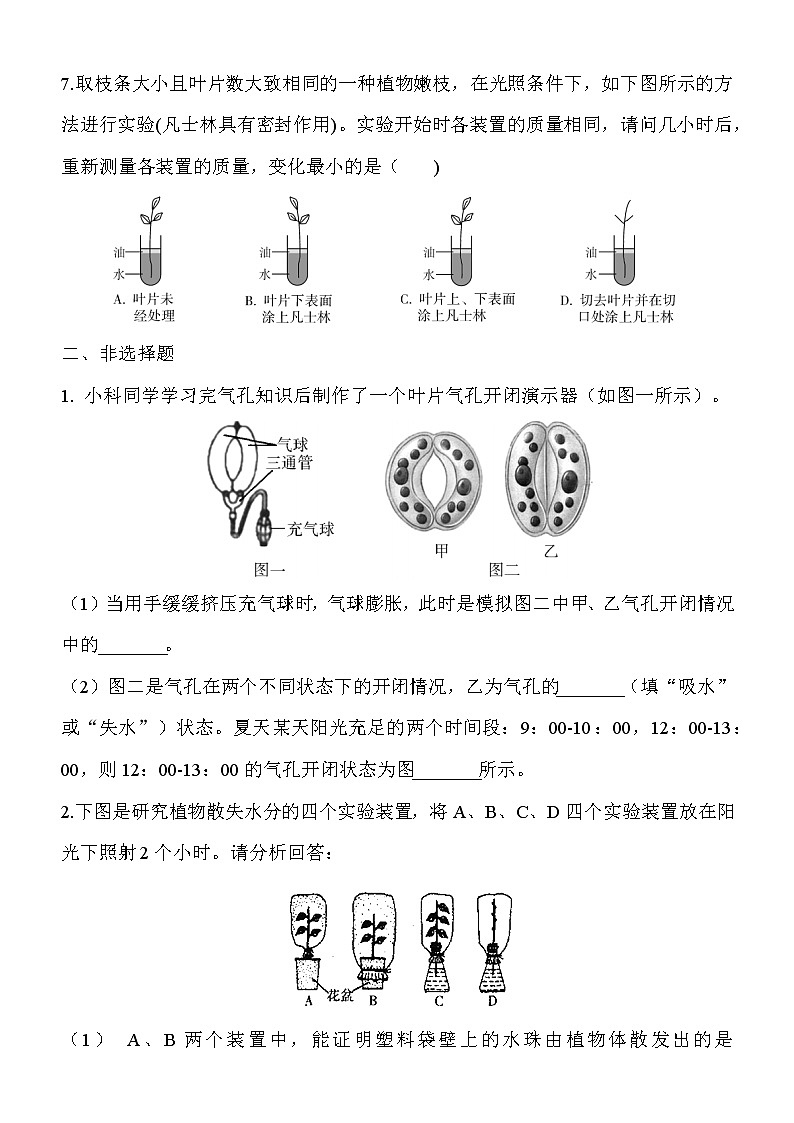5.4《蒸腾作用》课件PPT+教案+同步练习02