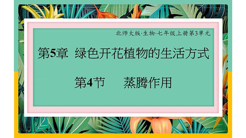 5.4《蒸腾作用》课件PPT+教案+同步练习01