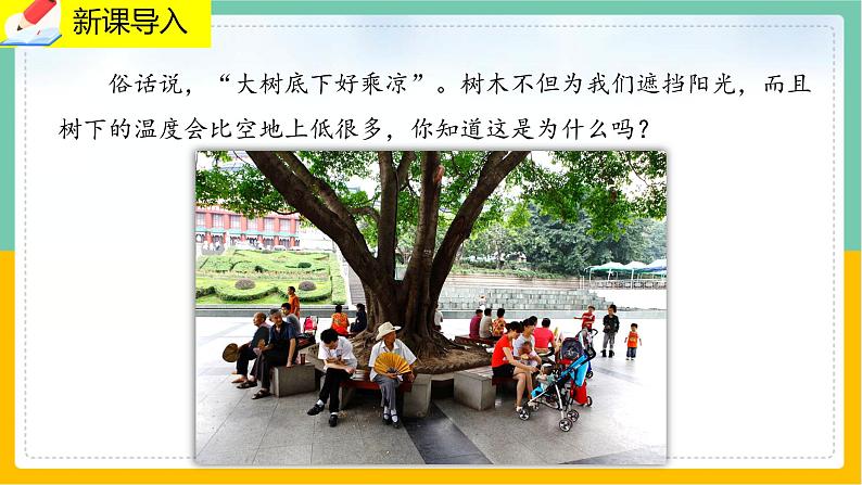 5.4《蒸腾作用》课件PPT+教案+同步练习02