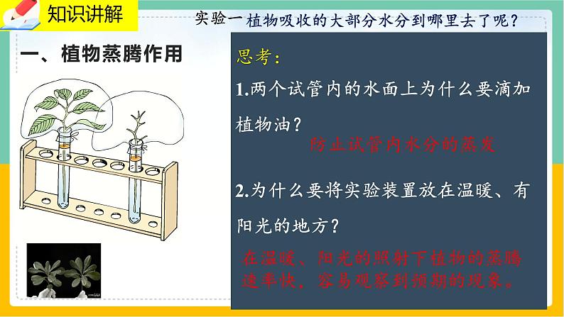 5.4《蒸腾作用》课件PPT+教案+同步练习03