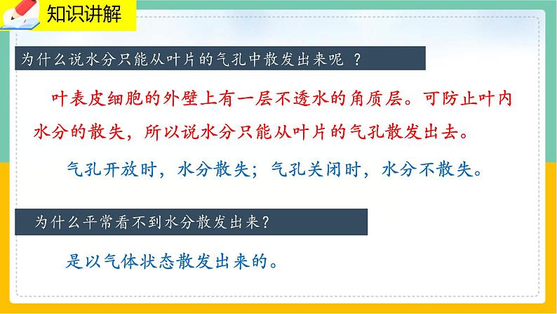 5.4《蒸腾作用》课件PPT+教案+同步练习06