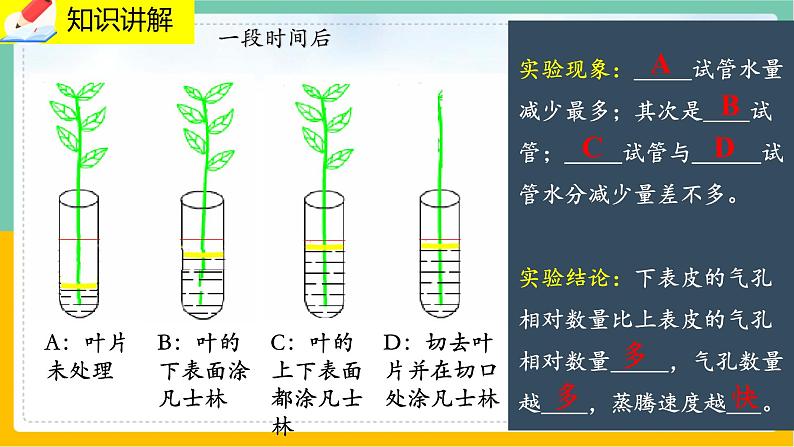 5.4《蒸腾作用》课件PPT+教案+同步练习08