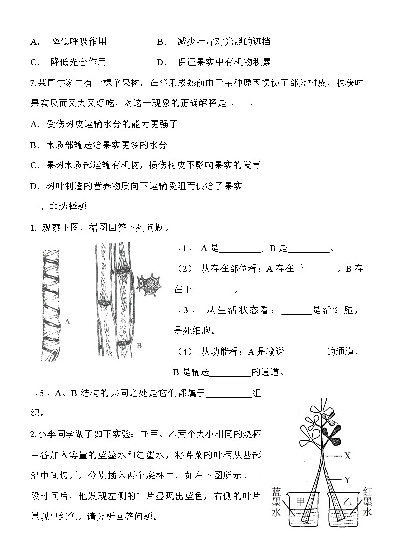 5.5《运输作用》同步练习第2页