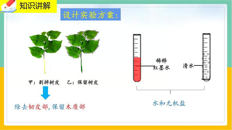 5.5《运输作用》课件PPT第5页