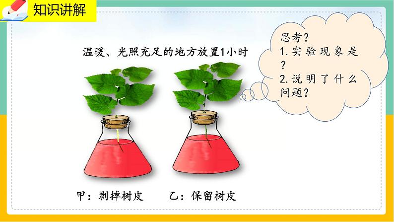 5.5《运输作用》课件PPT第6页