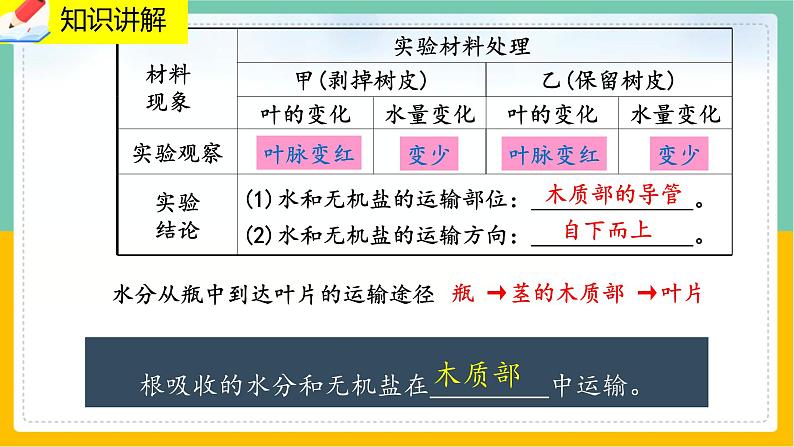 5.5《运输作用》课件PPT第8页