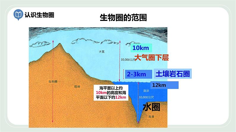 3.2 生物生存的家园—生物圈-七年级生物上册 课件+练习（苏科版）08