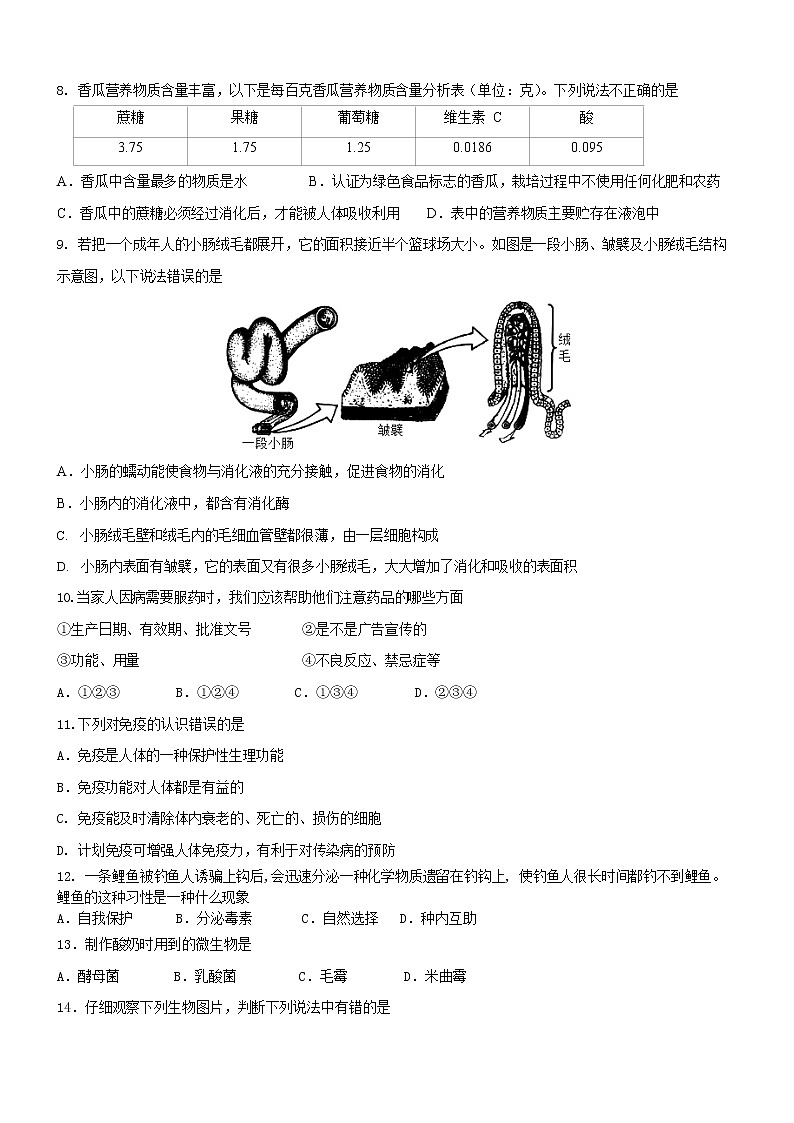 2022年山东省德州市初中学业水平测试生物模拟题 （三）(word版含答案)02