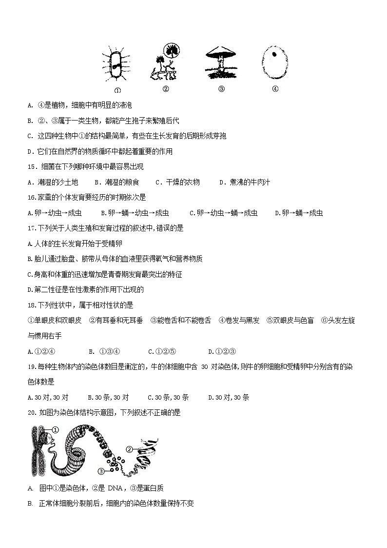 2022年山东省德州市初中学业水平测试生物模拟题 （三）(word版含答案)03