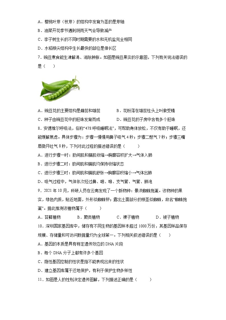 2022年河南省周口市川汇区中考二模生物试题(word版含答案)02