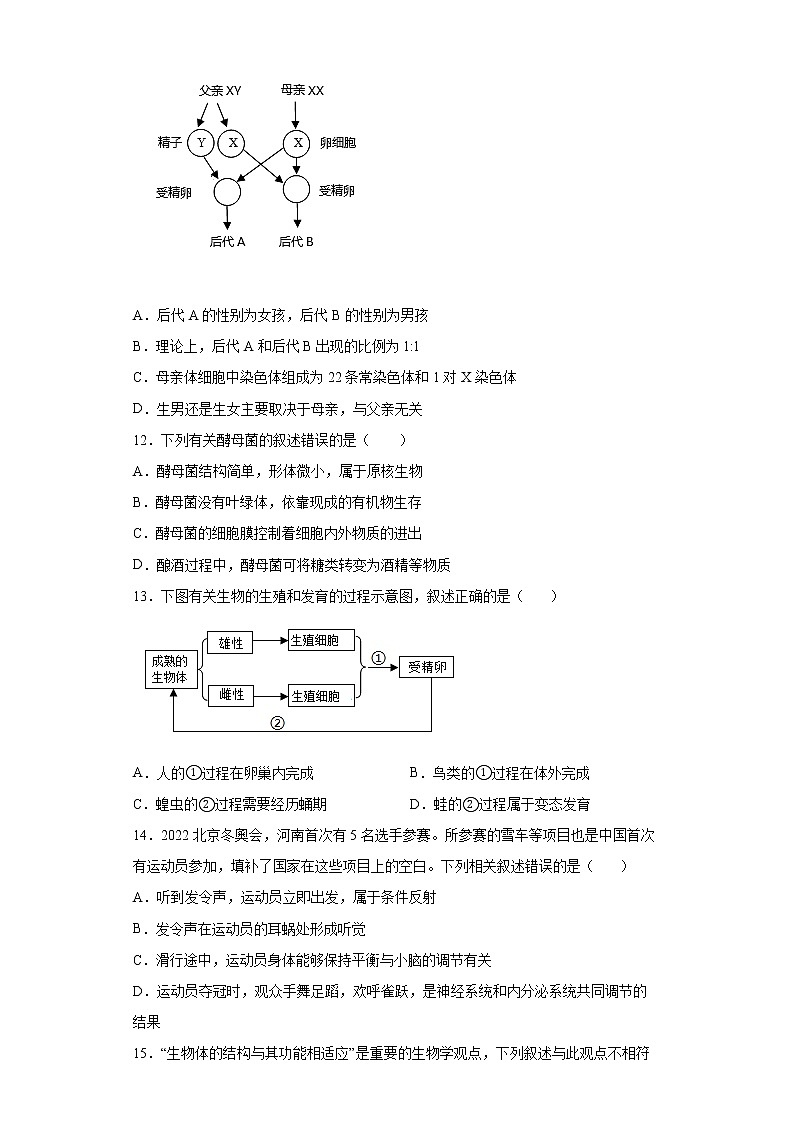 2022年河南省周口市川汇区中考二模生物试题(word版含答案)03