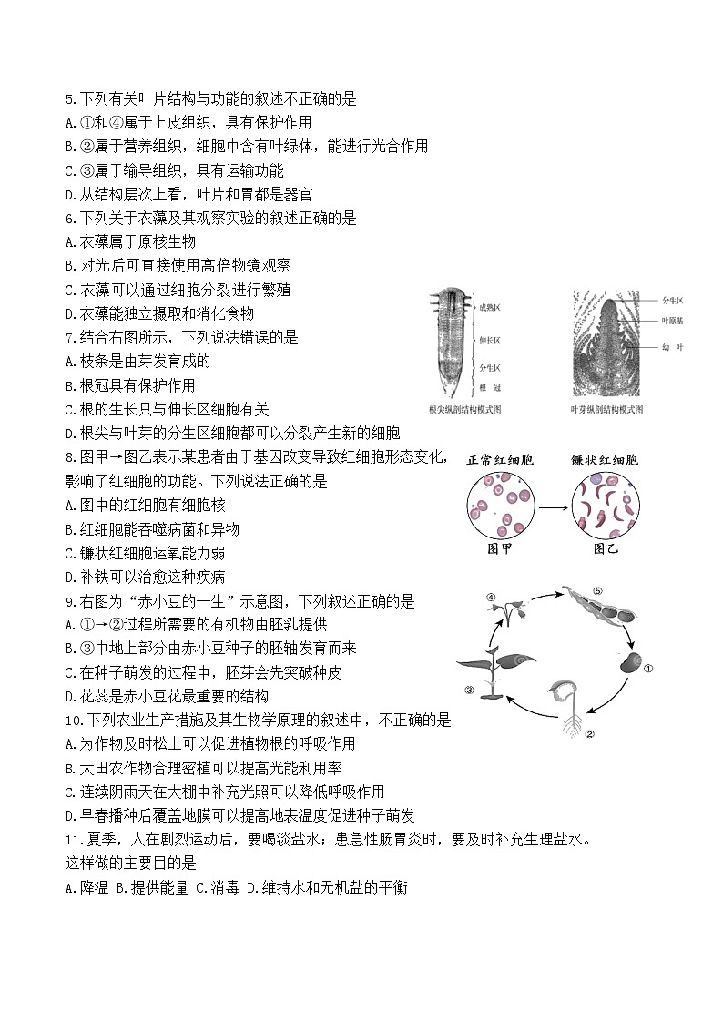2022年北京市中考生物一模试卷（无答案）02
