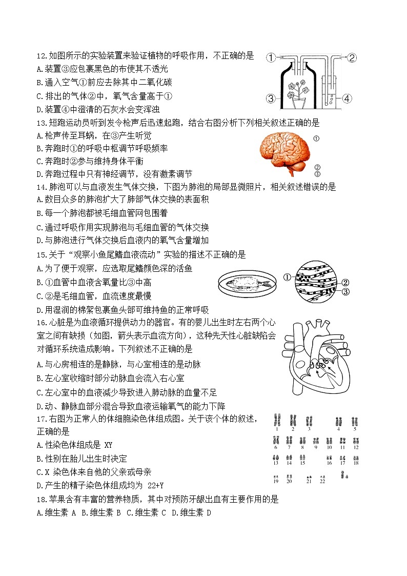 2022年北京市中考生物一模试卷（无答案）03