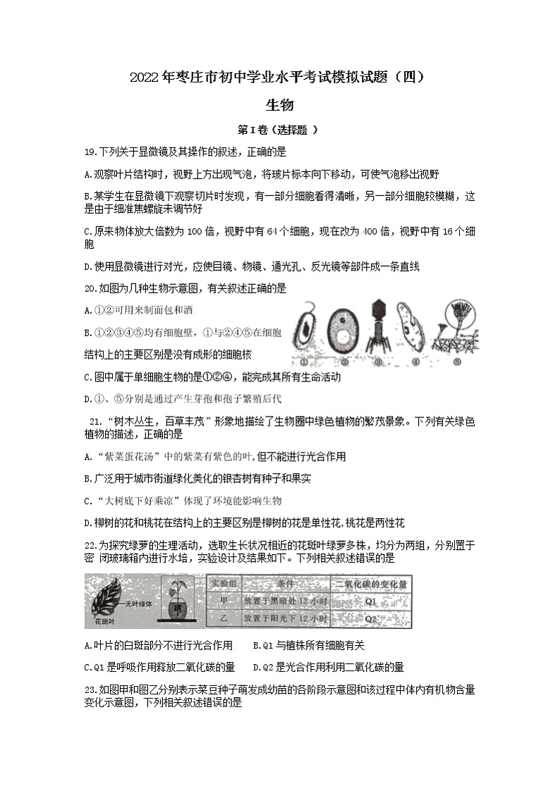 2022年山东省枣庄市中考模拟（四）生物试题（含答案）第1页