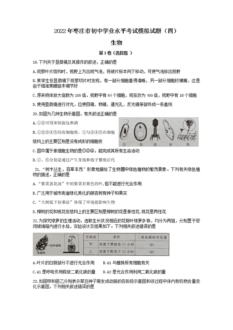 2022年山东省枣庄市中考模拟（四）生物试题(word版无答案)01
