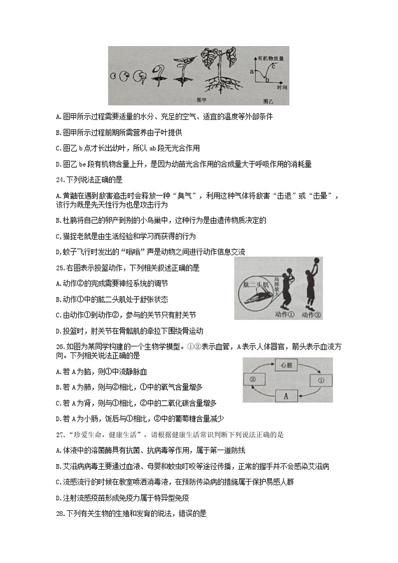 2022年山东省枣庄市中考模拟（四）生物试题(word版无答案)02
