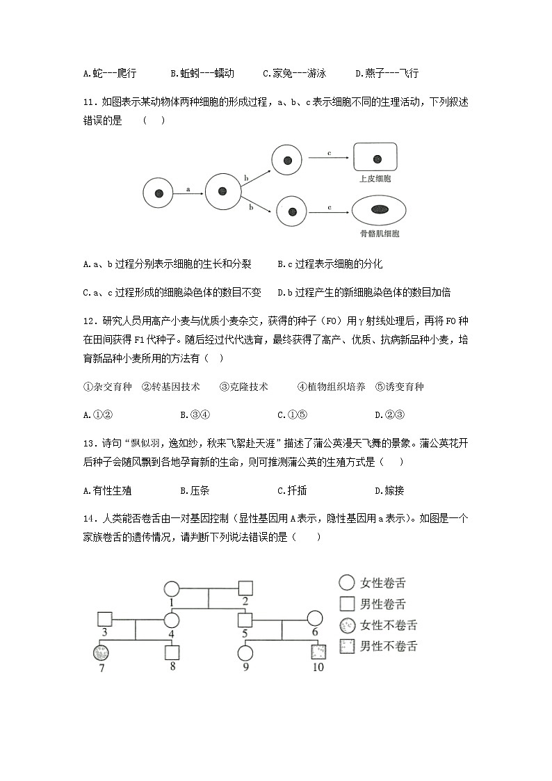 2022年河南省普通高中招生考试模拟试卷+生物（冲刺四）（含答案）第3页