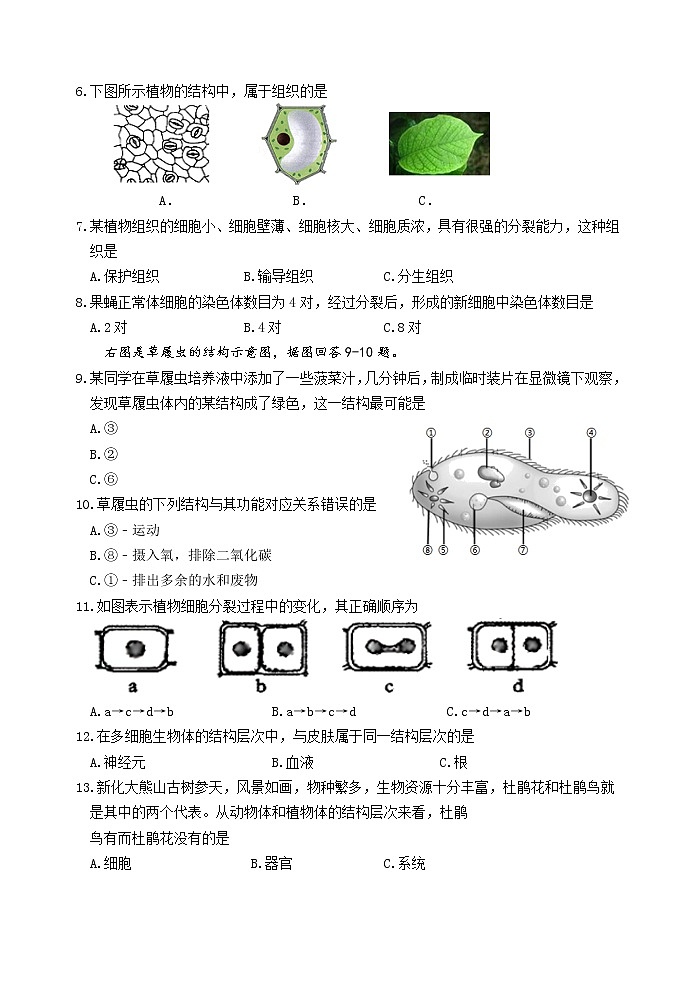 江苏省淮安市盱眙县2021-2022学年七年级下学期期中检测生物试卷（含答案）第2页
