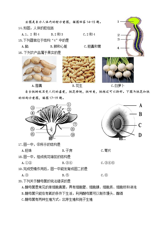 江苏省淮安市盱眙县2021-2022学年七年级下学期期中检测生物试卷（含答案）第3页