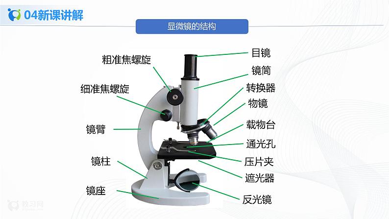 2.1.1《练习使用显微镜》课件（1）08