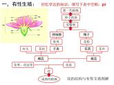 7.1.1《植物的生殖》课件