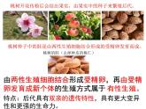 7.1.1《植物的生殖》课件