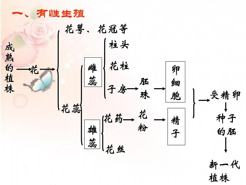 7.1.1 植物的生殖 课件05