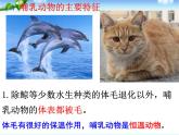 5.1.7 哺乳动物课件