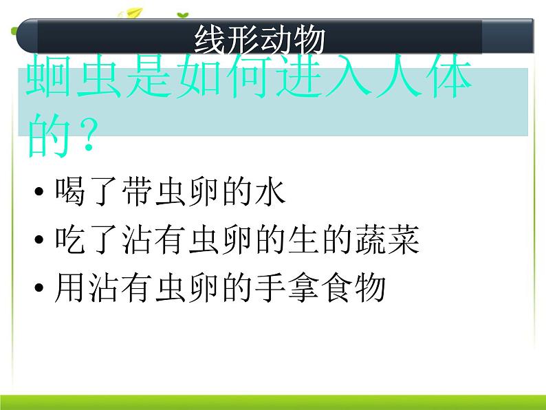 5.1.2  线形动物和环节动物 课件第6页