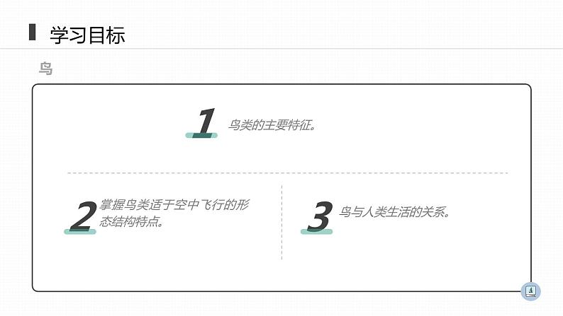 人教版八年级生物上册《鸟》课件第2页