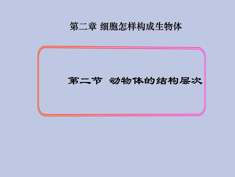 2.2.2动物体的结构层次 课件02