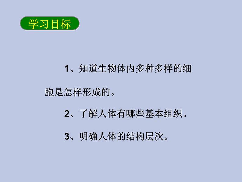 2.2.2动物体的结构层次 课件03