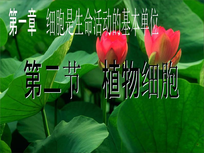 2.1.2 《植物细胞》课件第1页