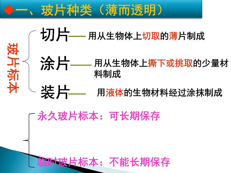 2.1.2 《植物细胞》课件第2页