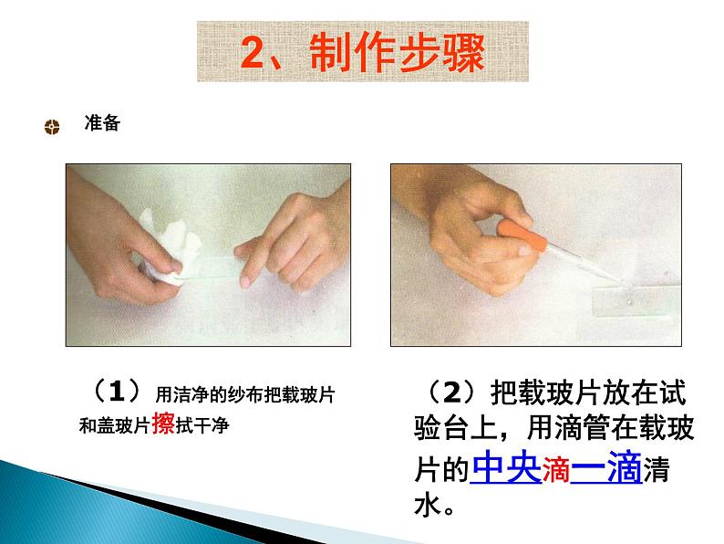 2.1.2 《植物细胞》课件第4页