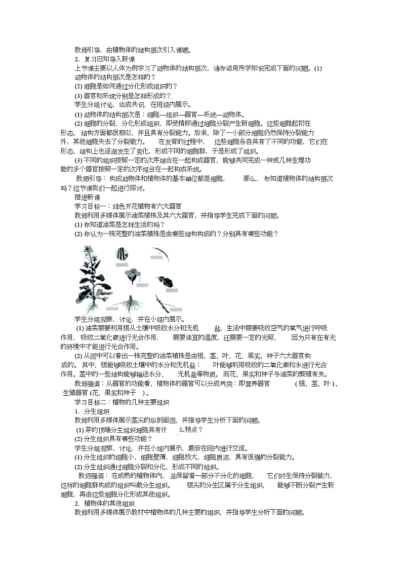 《植物体的结构层次》教案第2页