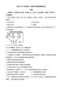 2022年河南省焦作市中考一模生物卷及答案（