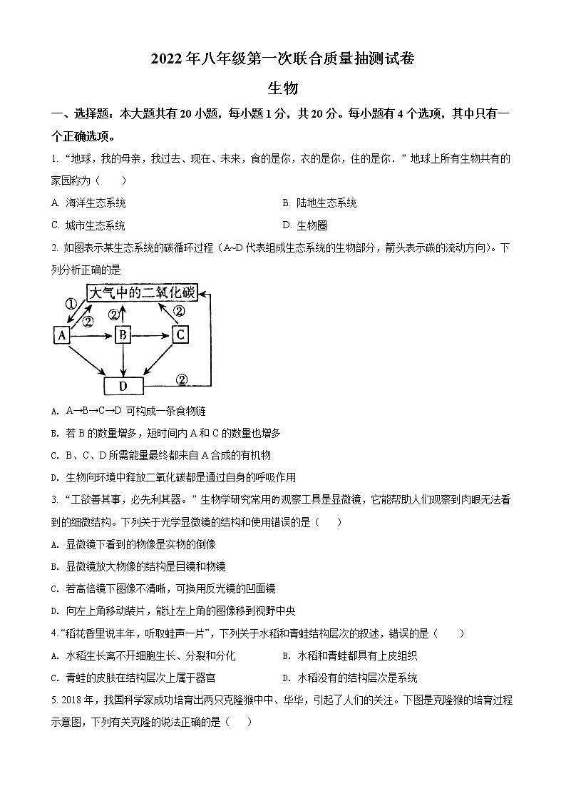 2022年河南省焦作市中考一模生物卷及答案（01