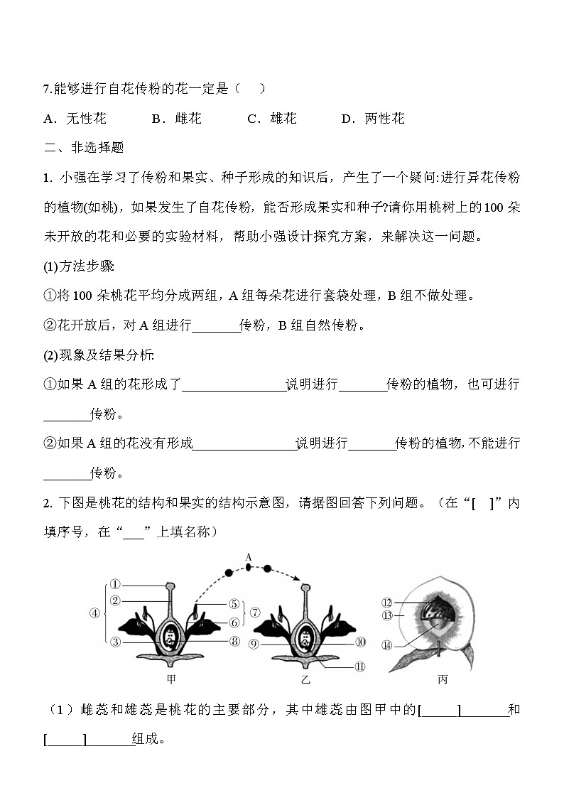 6.3《生殖器官的生长》课件PPT+教案+同步练习02