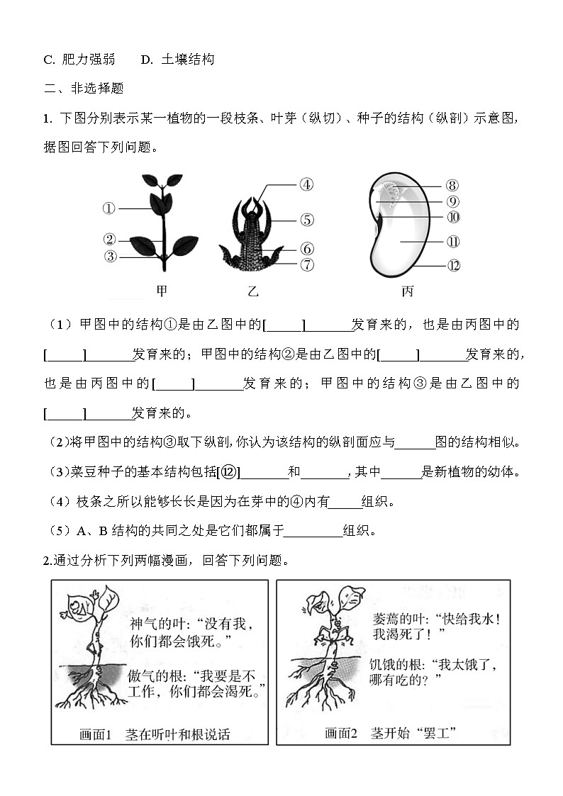 6.2《营养器官的生长》课件PPT+教案+同步练习02