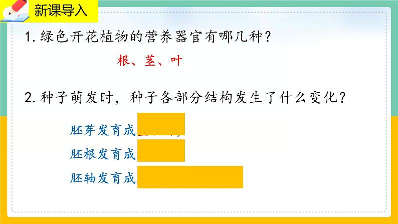 6.2《营养器官的生长》课件PPT+教案+同步练习02