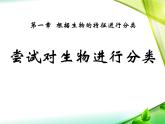 《尝试对生物进行分类》课件